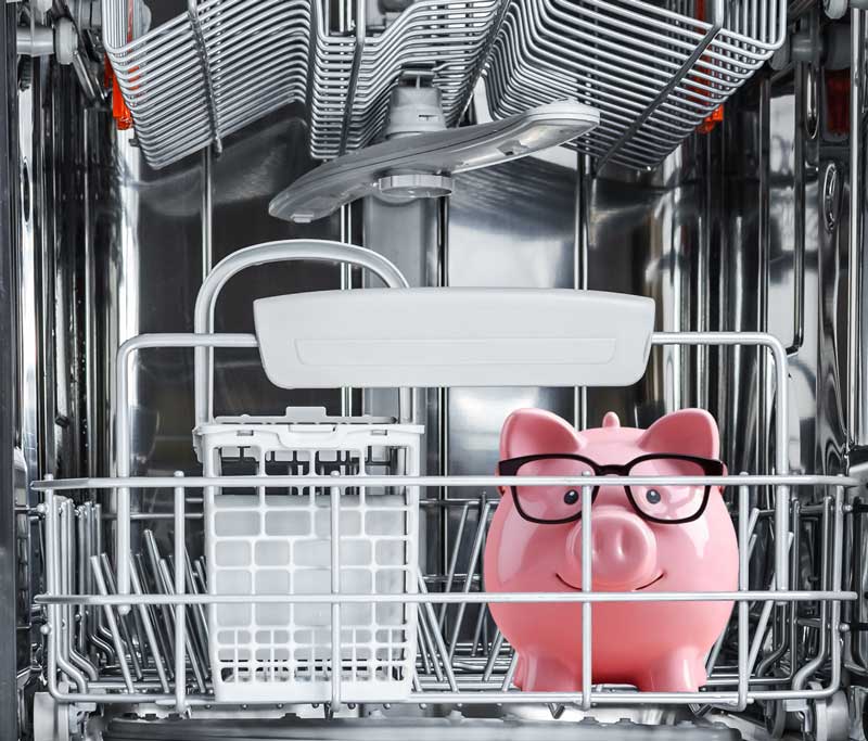 Sparschwein mit Brille im Inneren eines Geschirrspülers